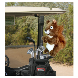 squirrel-1.png