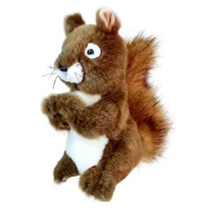 squirrel.png