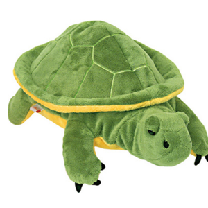 turtle.png