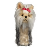 yorkshire_terrier.png