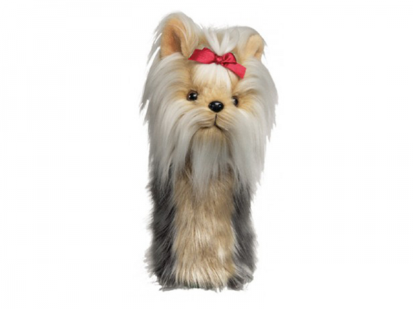 yorkshire_terrier.png