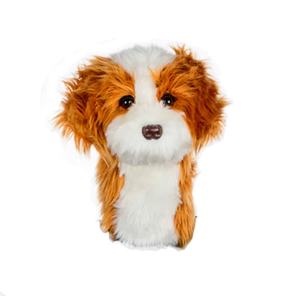 FUNDA DAPHNE CAVAPOO